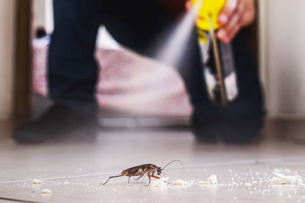 Best Commercial Pest Control Services  in Steelevle, IL