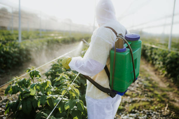 Best Commercial Pest Control Services  in Steelevle, IL